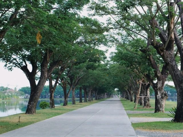 🌳🪨 𝐂𝐨𝐟𝐟𝐞𝐞 𝐟𝐨𝐫 𝐑𝐞𝐬𝐭 🪵🌳 ฉะเชิงเทรา