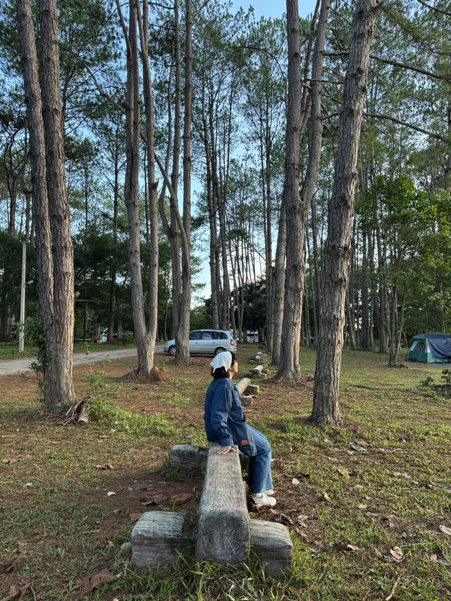 ทุ่งแสลงหลวง | จ.เพชรบูรณ์ 🏕️🌿🦌✨