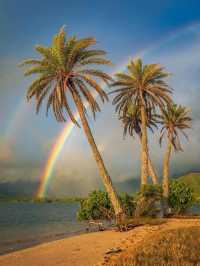 Why Rainbow Lovers Need to Visit Hawaii 🌈