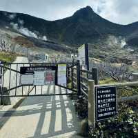🇯🇵箱根必到景點 大涌谷 旅遊及交通攻略