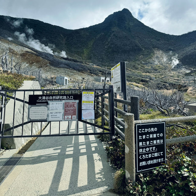 🇯🇵箱根必到景點 大涌谷 旅遊及交通攻略