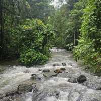 น้ำตกโตนไพร