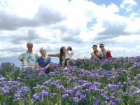 Blossom into Beauty at Northern Blossom Flower Farms