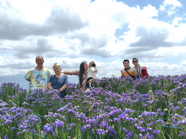 Blossom into Beauty at Northern Blossom Flower Farms