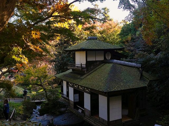 【三渓園】（神奈川県横浜市　旧国名：武蔵）