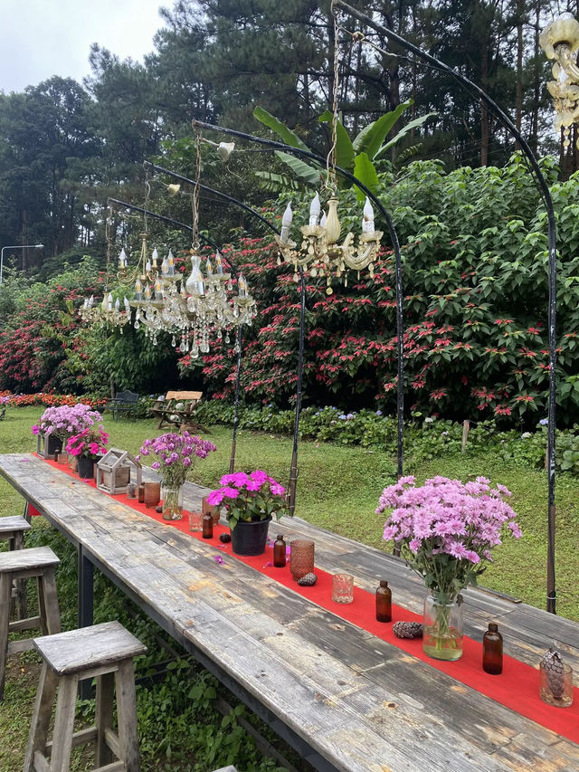 🎄22 Aquarius Glamping Cafe คาเฟ่บนดอยอินทนนท์