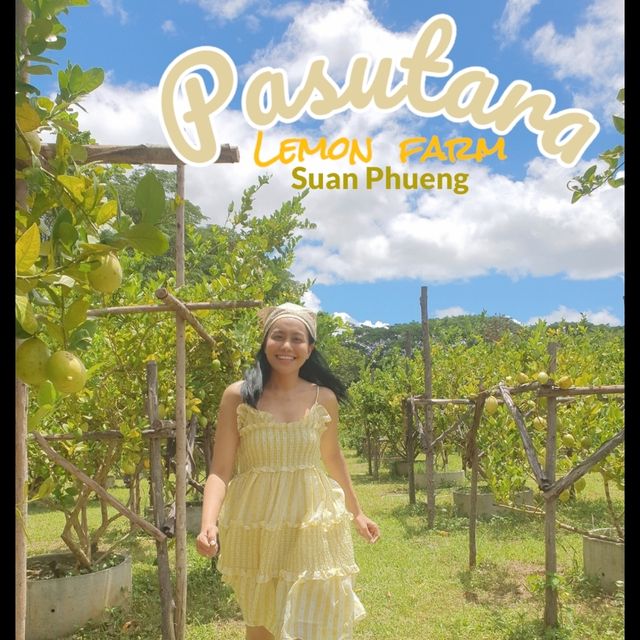 เลมอน🍋ฟาร์มสุข เติมความสดชื่นที่สวนผึ้ง 