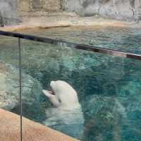 名古屋旅遊～名古屋水族館