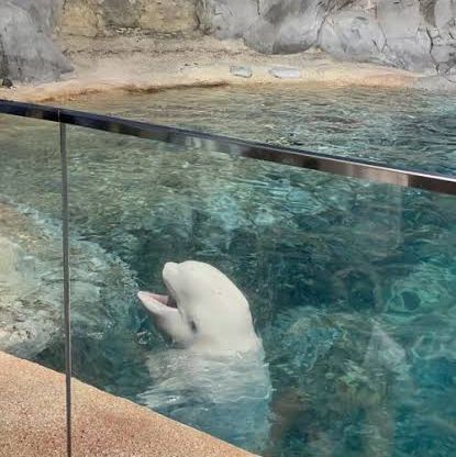 名古屋旅遊～名古屋水族館