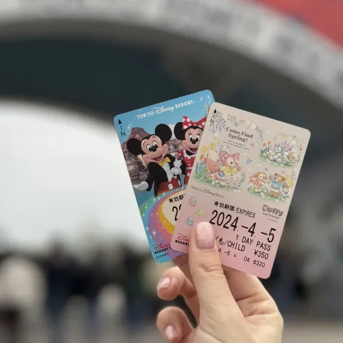  ✨ 東京迪士尼樂園的魔法時光 ✨