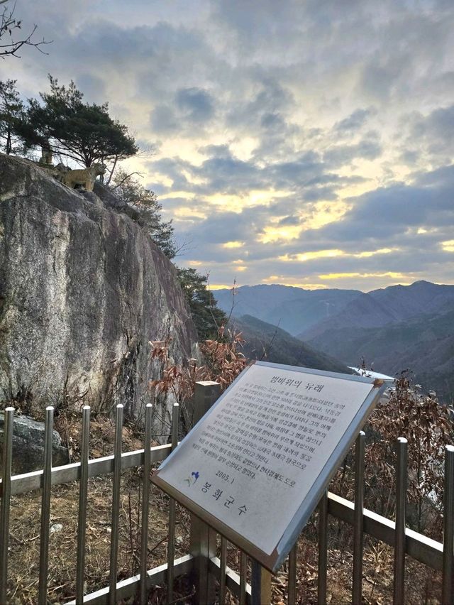 호랑이 기운받는 봉화에서 특별한 해맞이💛