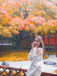 北九州賞楓景點口袋名單🍁