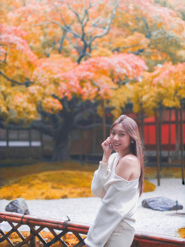 北九州賞楓景點口袋名單🍁
