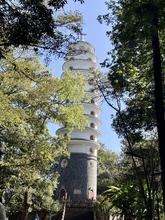 來鳳山森林公園徒步探險之旅 來鳳山森林公園徒步探險之旅