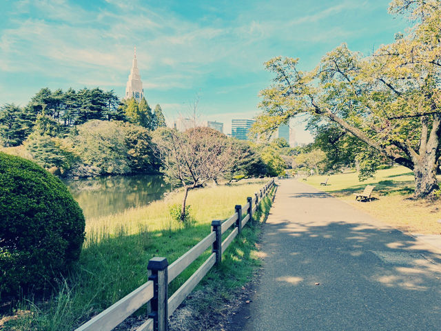 旅遊遊記:探索東京的綠洲——新宿御苑🌳🌼🌻 旅遊遊記:探索東京的綠洲——新宿御苑🌳🌼🌻