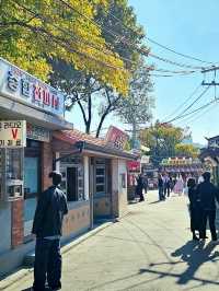 首爾📍國立民俗博物館