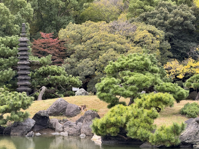 東京 - 清澄庭園的夢幻之旅 🌸