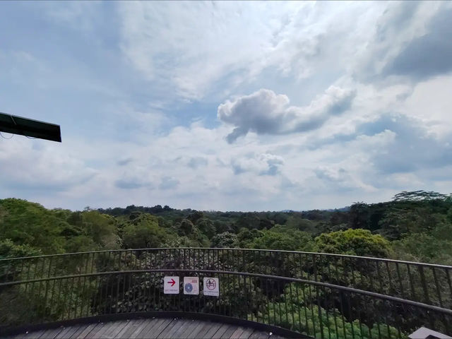  Chestnut Nature Park遊記：新加坡最大的自然公園秘境