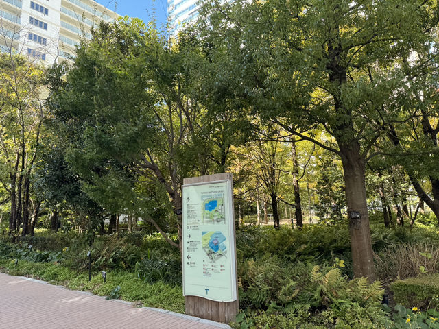 東京 - 在豐洲公園的感動瞬間 🌅