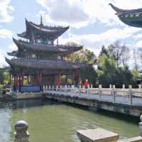 Tranquility Among the Willows: A Day at Black Dragon Lake