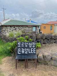 제주 돌담집에서 즐기는 소품 투어🛍️
