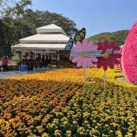 สวนสาธารณะหาดนครเชียงราย