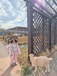 설 연휴에는 가족여행 추천지! 동물 먹이체험, 눈썰매, 키즈카페 모두 가능해요:)