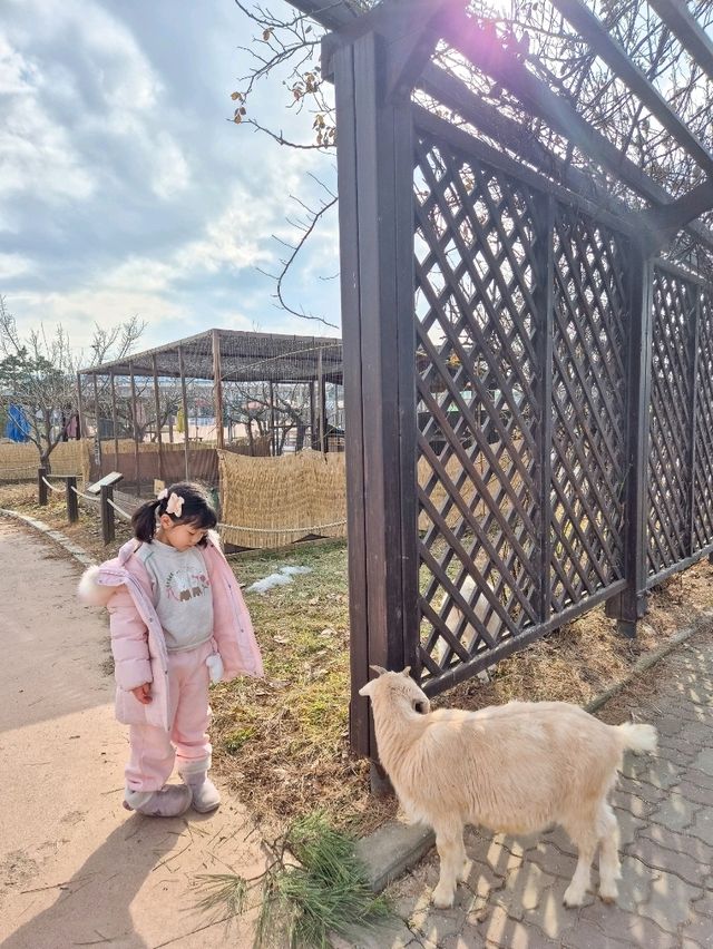 설 연휴에는 가족여행 추천지! 동물 먹이체험, 눈썰매, 키즈카페 모두 가능해요:)