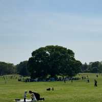 都内とは思えないほど美しい自然に出会える大きな公園、昭和記念公園😍❤️