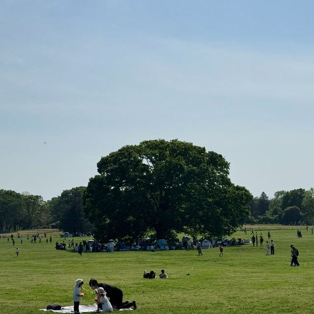 都内とは思えないほど美しい自然に出会える大きな公園、昭和記念公園😍❤️