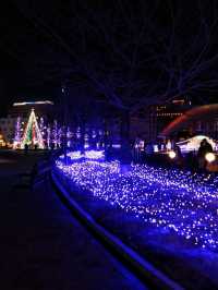 天文館公園Champ de fleurs TENMONKAN