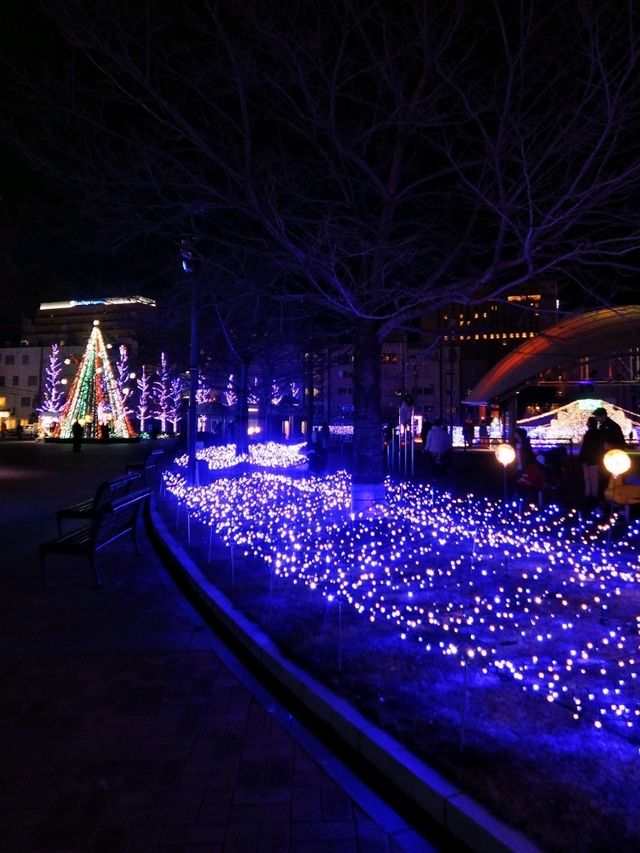 天文館公園Champ de fleurs TENMONKAN