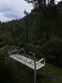 The Lodge Maribaya: Where Views Meet Thrills