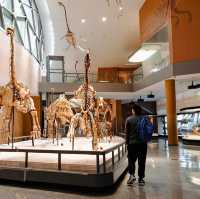 Natural History Museum - Shanghai