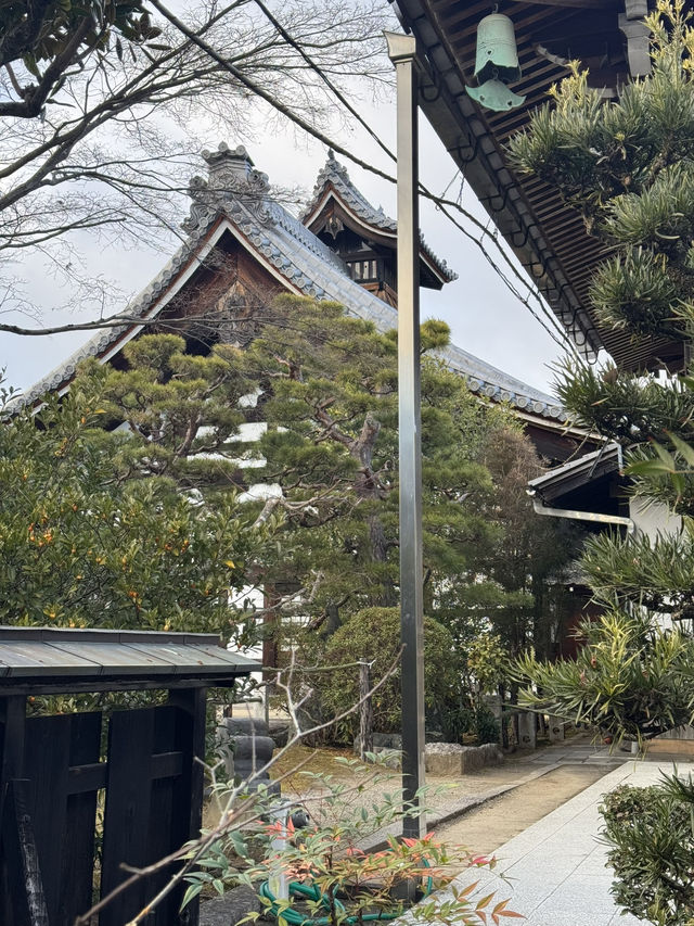 Relaxing Tenryu-ji Garden, Kyoto 🇯🇵