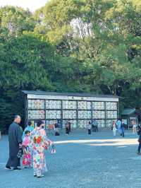 ไหว้พระ ขอพร ที่ศาลเจ้า | คามาคุระ ⛩️🏮