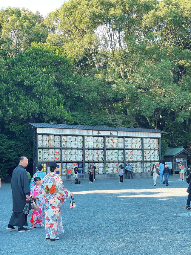 ไหว้พระ ขอพร ที่ศาลเจ้า | คามาคุระ ⛩️🏮