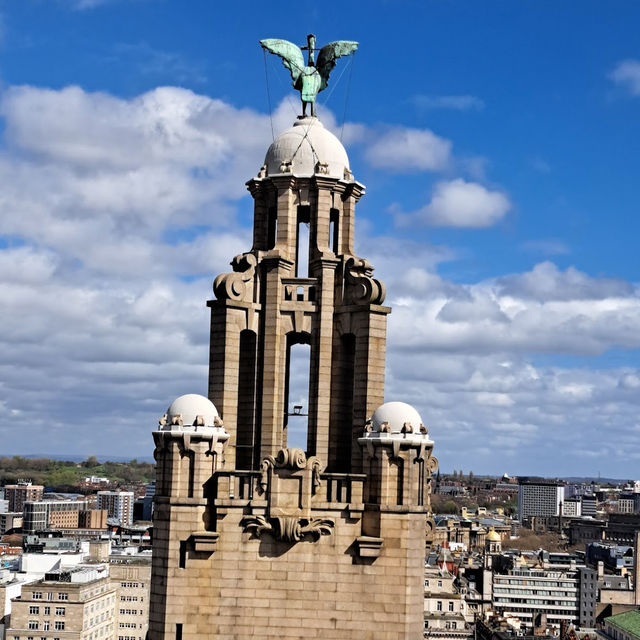 Royal Liver Building 360 Tour