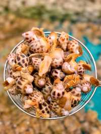 🐚🦐【 千海水產海鮮火鍋放題 】 🦀🦪