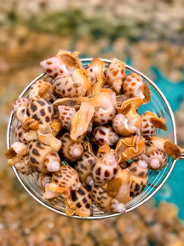 🐚🦐【 千海水產海鮮火鍋放題 】 🦀🦪