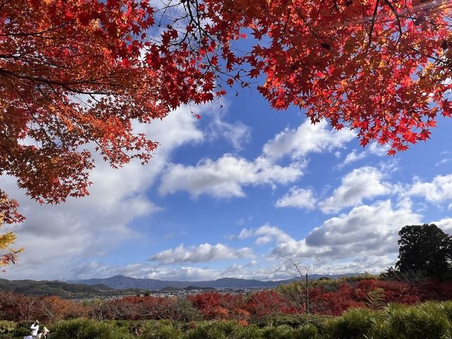 A Symphony of Colors — The Okochi Sanso Villa in Arashiyama