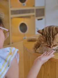 ถูกใจคนรักหมาแมว Zucca - The Pet Sanctuary & Cafe