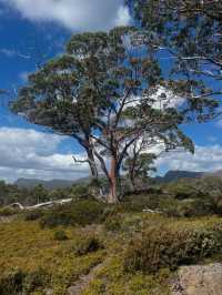 Cradle Mountain, Tasmania 