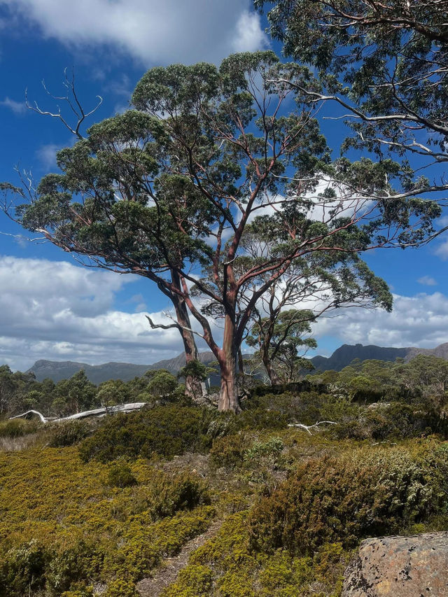 Cradle Mountain, Tasmania 