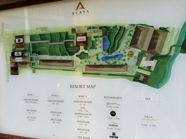 Alaya Resort Ubud——泳池小孩玩瘋了