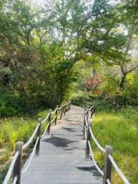 Awesome Autumn in the Oasis - a story between greens and the granite