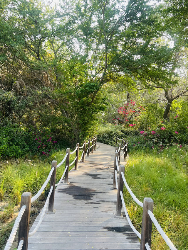 Awesome Autumn in the Oasis - a story between greens and the granite