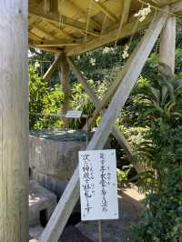【鹿児島】与論島 与論を一望できる絶景スポットに行きながら神社で御朱印もゲット！