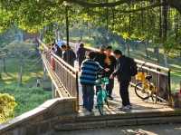 Exploring Shenzhen Central Park