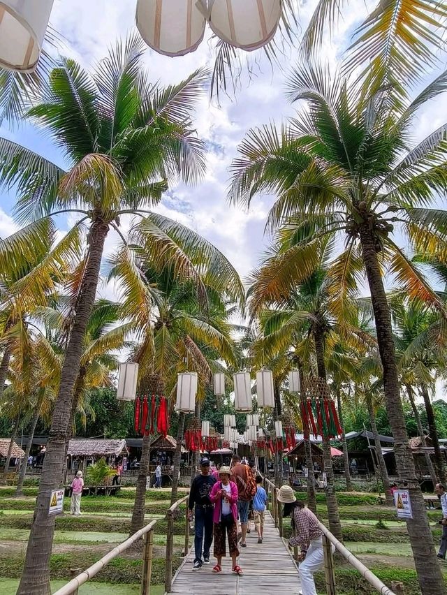 Coconut Market 清邁周末限定的「椰林市集」